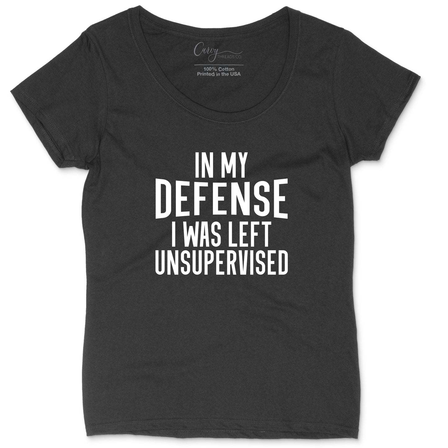 In My Defense I Was Left Unsupervised | Ladies Plus Size T-Shirt