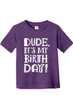 Dude Its My Birthday | Toddler T-Shirt