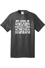 My Level of Sarcasm Depends on Your Level of Stupidity | Mens Big & Tall T-Shirt