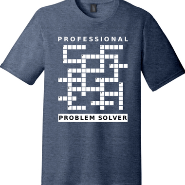 Professional Problem Solver | District Perfect Tri Tee